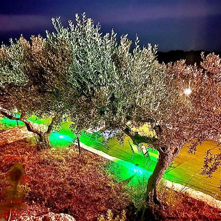 مبيت وإفطار بالما دي مونتيكارو La Collina Sul Mare المظهر الخارجي الصورة
