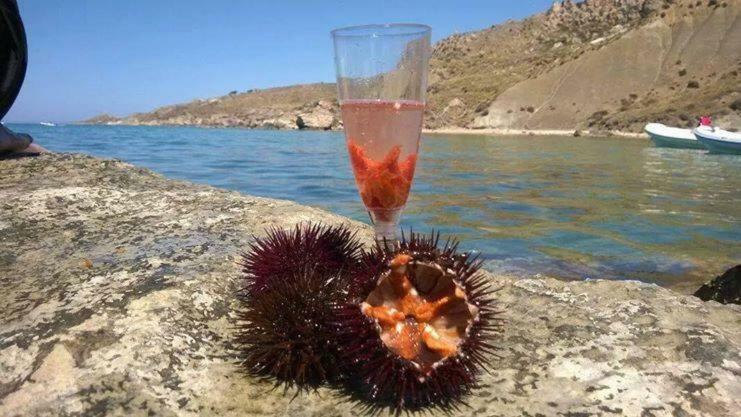 مبيت وإفطار بالما دي مونتيكارو La Collina Sul Mare المظهر الخارجي الصورة